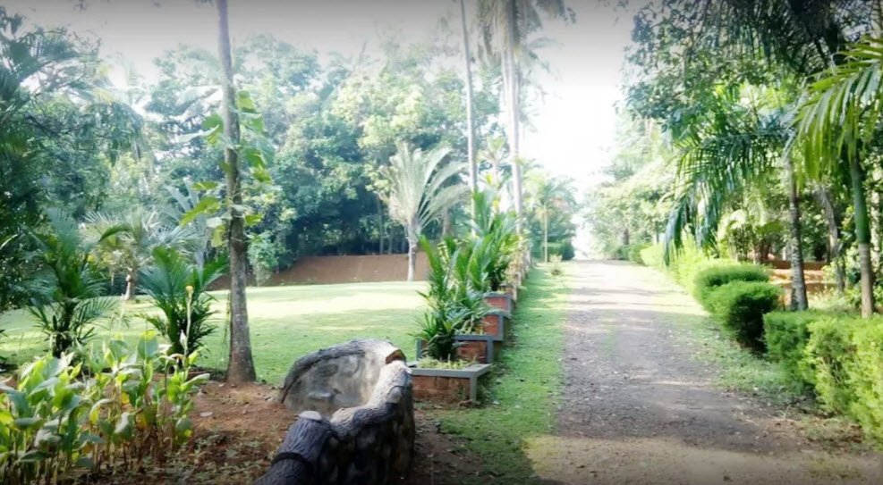 Malabar Botanical Garden and Institute for Plant Sciences [KSCSTE MBGIPS], India